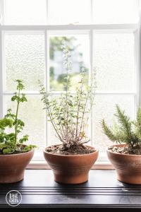 巴利卡斯尔StayLagom的窗台上三盆盆植物