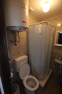 赫尔采格诺维Guest House Bajceta的一间带卫生间和淋浴帘的浴室