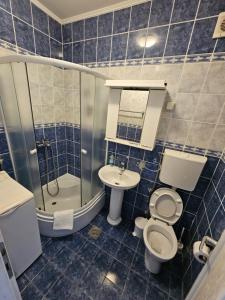 科托尔灯笼塔公寓的蓝色瓷砖浴室设有卫生间和水槽