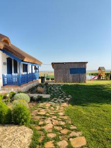 茹里洛夫卡Portita spre Delta的蓝色屋顶和草地庭院的房子