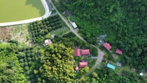 吉婆岛卡特巴环保度假酒店的森林的顶部景观,有房屋和道路