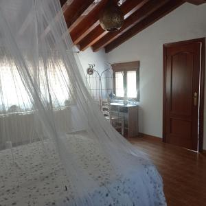 贝哈尔Casa Rural Viñas Perdidas的一间卧室,配有一张带面纱的床