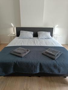布鲁塞尔The Brussels-Laken Appartement的一张大床,上面有两条毛巾