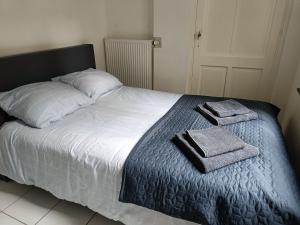 布鲁塞尔The Brussels-Laken Appartement的一张带两条毛巾和两个枕头的床