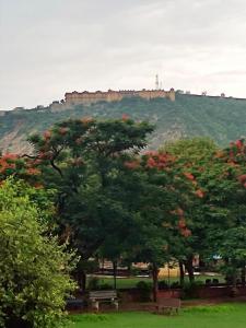斋浦尔Sukh Sagar Hotel的山丘上一座有树木和城堡的公园