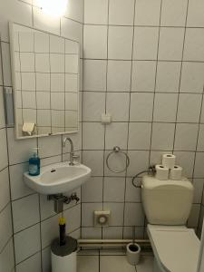 布鲁塞尔The Brussels-Laken Appartement的一间带卫生间、水槽和镜子的浴室