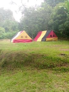 武吉丁宜Tapian Ratu Camp的两个帐篷,坐在雨中的一个田野里