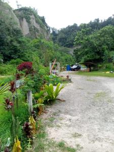 武吉丁宜Tapian Ratu Camp的一条土路,上面有一堆花和树木
