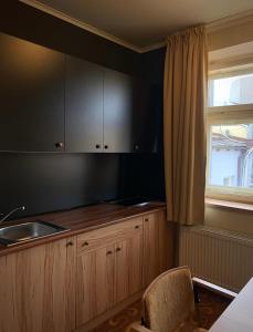 多玛泽里塞金色蜜蜂酒店的厨房配有木制橱柜、水槽和窗户。