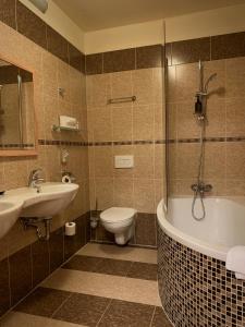 多玛泽里塞金色蜜蜂酒店的浴室配有卫生间、浴缸和水槽。