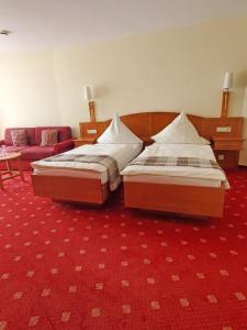 霍恩Landhotel Westerwaldgrill的红地毯间内的两张床