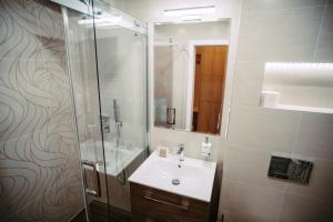 帕尔杜比采Pension JASOPA的一间带水槽和玻璃淋浴的浴室