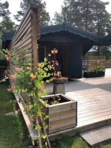卡尔斯塔德Timber cottages with jacuzzi and sauna near lake Vänern的木制甲板上摆放着鲜花的木箱