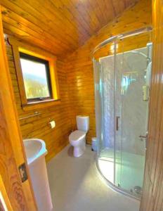 Malin HeadCosy Portmor Log Cabin的一间带卫生间和玻璃淋浴间的浴室