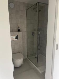 DziemianySlow Home的一间带卫生间和玻璃淋浴间的浴室
