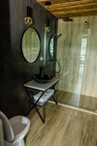 瓦特拉多尔内Tiny House Todireni的一间带水槽和镜子的浴室