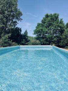 萨希诺希索伊扎卡特度假屋的一座绿树成荫的蓝色游泳池