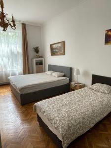 布达佩斯Family Home的一间卧室设有两张床和窗户。