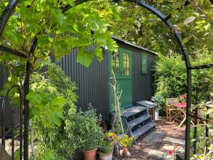 WingfieldThe Rumple Hut的花园里的绿色棚子,长凳