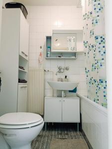 马里博尔Apartmaji Sofia的浴室配有白色卫生间和盥洗盆。