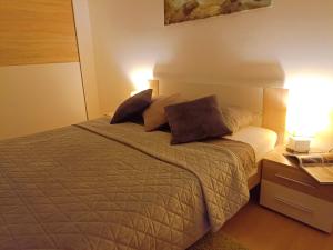 马里博尔Apartmaji Sofia的一间卧室配有一张带两个枕头的床