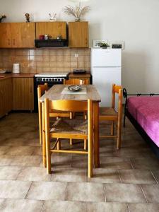 加夫里翁Andros escape - a cosy 1bed flat的厨房配有桌椅和冰箱。