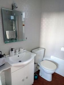 希农Le Nid de L’Île的白色的浴室设有卫生间和水槽。