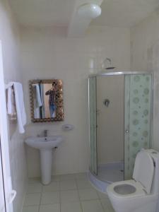 拉利贝拉Zan-Seyoum Hotel - Lalibela的带淋浴、卫生间和盥洗盆的浴室