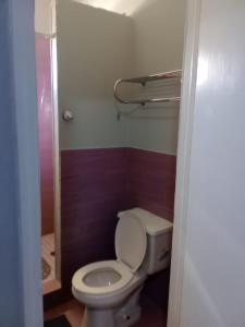 Gregory TownSurfers Manor Motel的一间带卫生间和淋浴的浴室