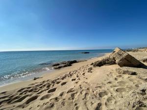 CampomarinoGemma Mediterranea的沙滩和海洋中的一个足迹