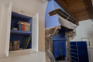 皮耶特拉佩尔托萨B&B Dimora Cigno的一间设有蓝色墙壁和书架的房间