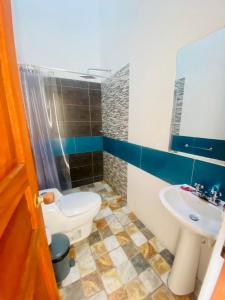 莱瓦镇Hotel Oasis de la villa的一间带卫生间和水槽的浴室