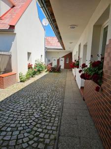 奥洛穆茨Olomouc NEW2的花房里鹅卵石小巷