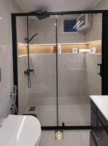 雅典Keti's home的带淋浴、卫生间和盥洗盆的浴室