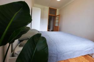 里加Teika的卧室配有白色的床和植物