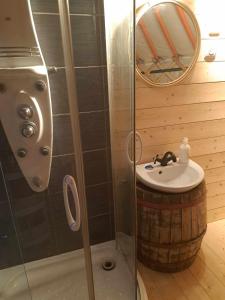 TaliándörögdFoxódi Lombjurta的带淋浴、盥洗盆和镜子的浴室