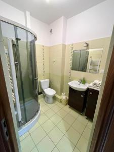 克罗奇琴科"Dom Pod Grzybkiem"的浴室配有卫生间、盥洗盆和淋浴。