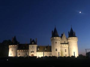 奥尔良Le Domremy F2 au cœur d'Orléans的天空中月亮的城堡