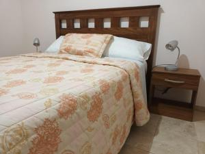 圣拉斐尔Departamento San Rafael - Sobre Paseo Chile的一间卧室配有一张床和一张带台灯的桌子