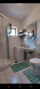 斯塔里格勒Jasna 2的带淋浴、卫生间和盥洗盆的浴室