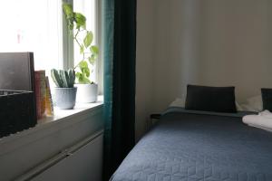 赫尔辛基Wonder studio apartment prime location and commute in the heart of Kallio的一间卧室配有一张床和一个植物窗户