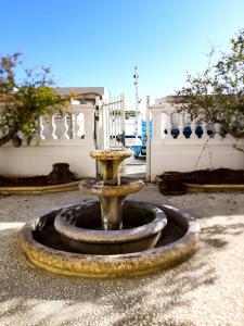 里米尼Villa La Torretta Luxury B&B - Adults Only -的庭院中央的喷泉