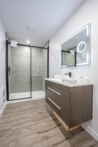 拉马巴耶Le 2020 Charlevoix的一间带水槽和淋浴的浴室