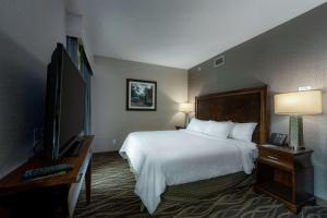 萨拉托加泉萨拉托加温泉希尔顿合博套房酒店的配有一张床和一台平面电视的酒店客房