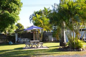 麦凯Rover Motel的棕榈树庭院里的野餐桌和遮阳伞