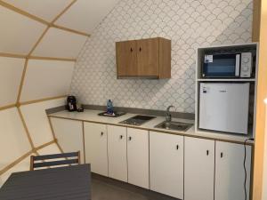 巴约讷GLAMPING DO MAR的厨房配有白色橱柜、微波炉和冰箱。