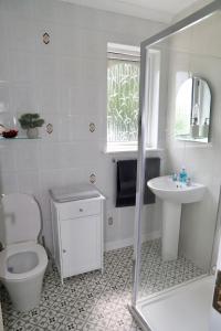 基洛格林Centrally located house on Ring of Kerry的白色的浴室设有卫生间和水槽。