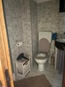 圣特雷莎加卢拉Da Adriana Guesthouse的一间带卫生间和水槽的小浴室