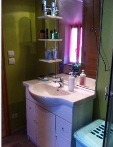 圣梅内乌勒Chez Franck et Sandra的一间带水槽和镜子的浴室