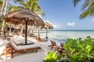 奥尔沃克斯岛Beachfront Hotel La Palapa - Adults Only的海滩上设有椅子和遮阳伞,还有大海